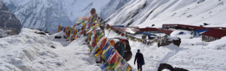 Annapurna Base Camp Trekking 2024, 2025 - ABC Trip
