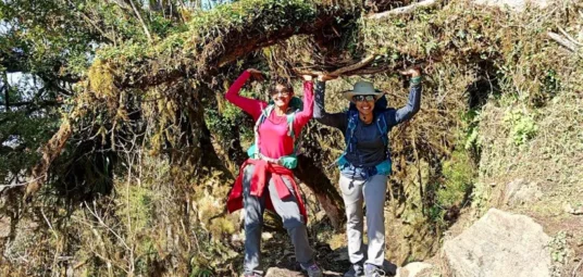 On the way to High Camp from Forest Camp