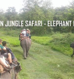 Jungle Safari